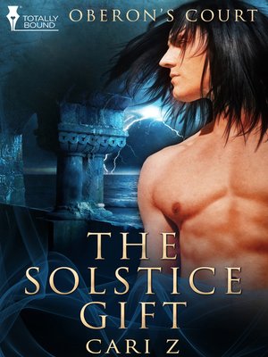 cover image of The Solstice Gift